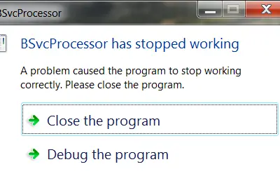 BSvcProcessor has stopped working