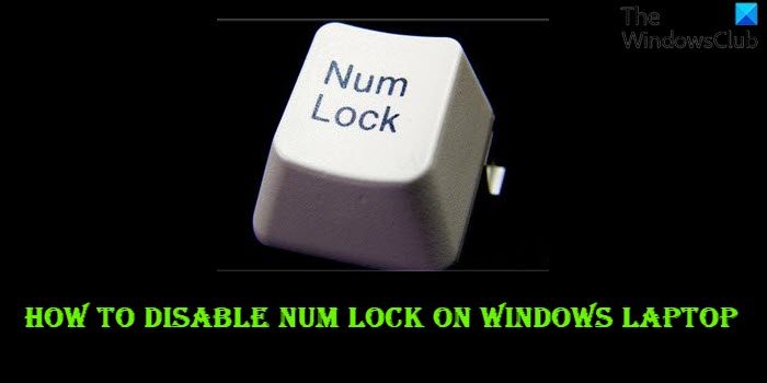 How to disable Num Lock on Windows laptop