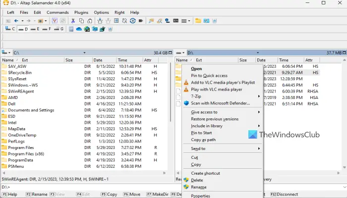 Altap Salamander dual pane free file manager software