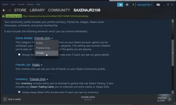 steam hide previous names