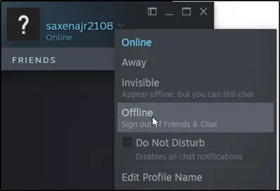 How do I hide my Steam activity?