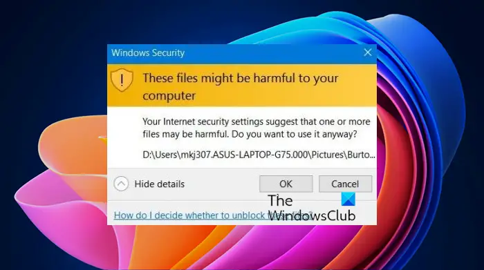 These files might be harmful to your computer