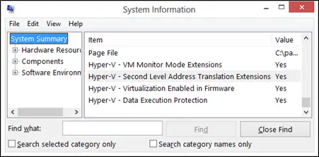 Second Level Address Translation (SLAT)