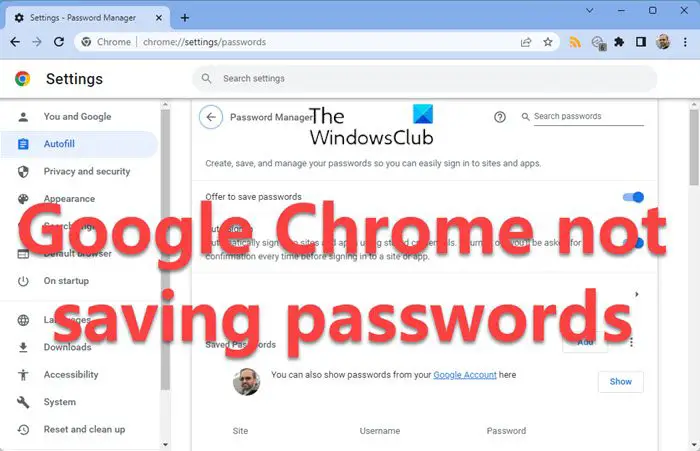 Google Chrome not saving passwords
