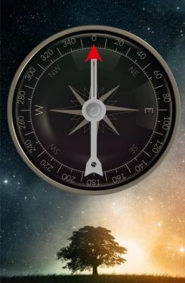 Compass One