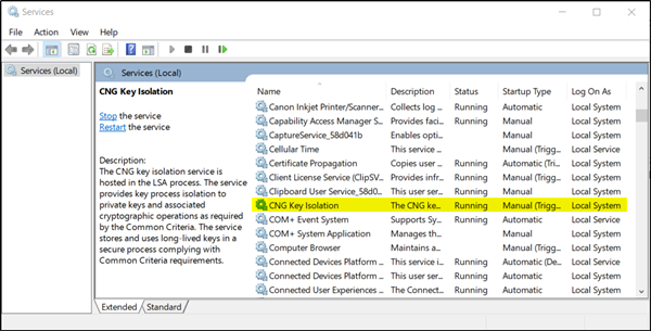 Windows 10 Hello errors 0x801c004d or 0x80070490