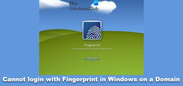 Cannot login with Fingerprint in Windows 11/10 on a Domain