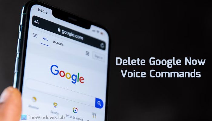 How to delete recorded Google Now Voice Commands