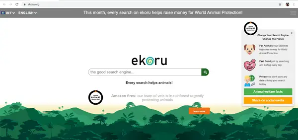Ekoru Search Engine