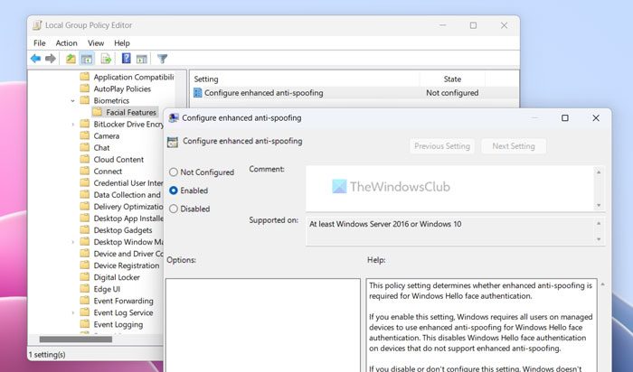 Enable Enhanced Anti-Spoofing for Windows 11/10 Hello Face Authentication