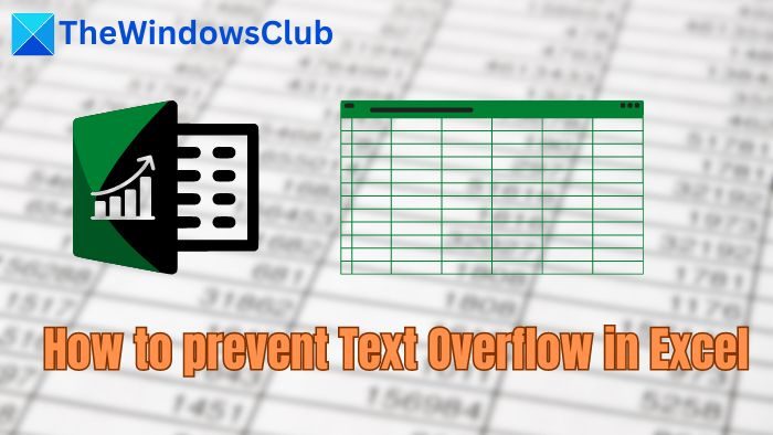 How to prevent Text Overflow in Excel