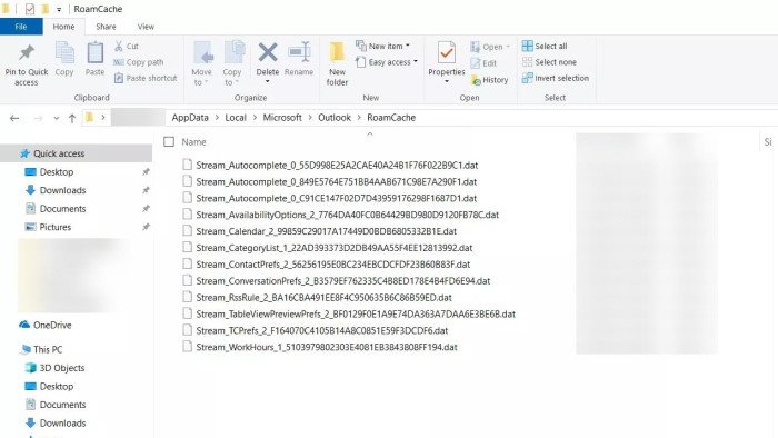 Outlook Cache Roam
