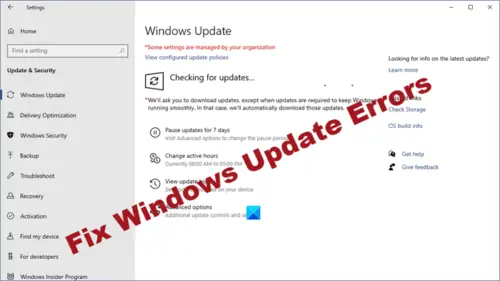 Cannot download windows updates internet download manager 6.07 crack serial number free download