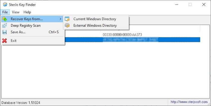 how to find snagit license key in the registry