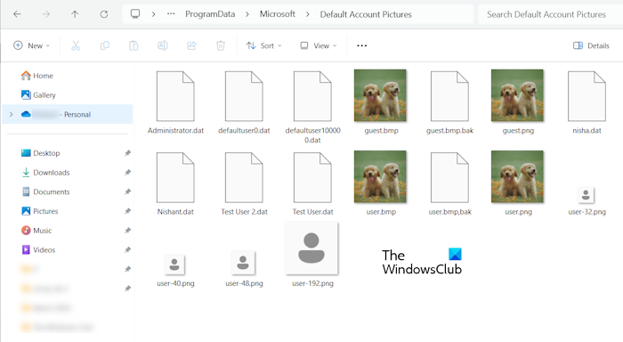 Change default user login image