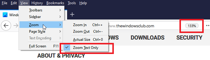 Text Zoom only in Firefox