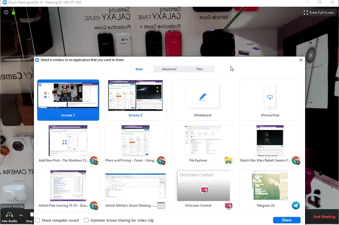 Share Screen in Zoom