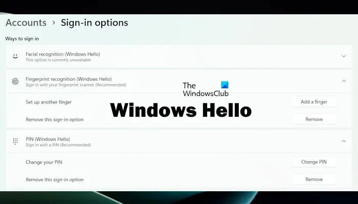 Windows Hello Security