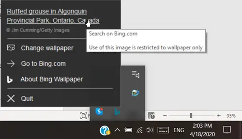 BingSnap is a freeware program that can download the daily Bing wallpaper - gHacks Tech News