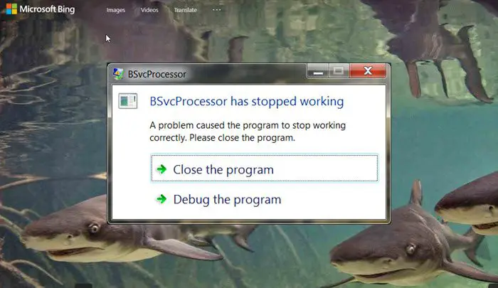BSvcProcessor has stopped working