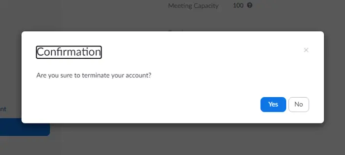 Delete Zoom Account permanently