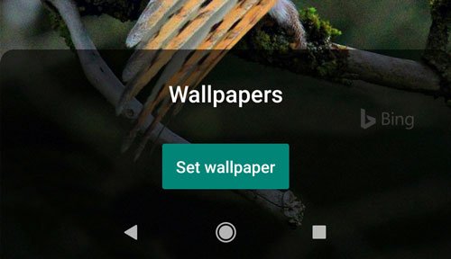 Set Bing daily background as Android wallpaper using Bing Wallpapers