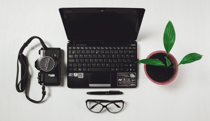 laptop on desk with plant