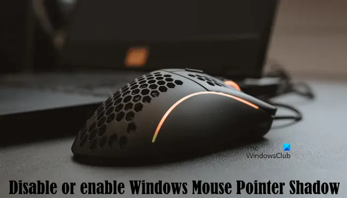 Disable enable Windows Mouse Pointer Shadow