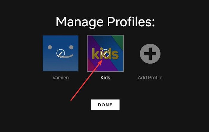 How to create separate Netflix profiles