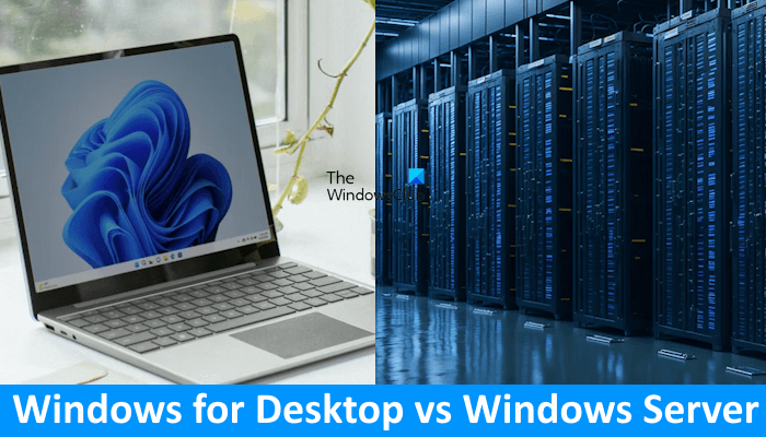What is Windows Server