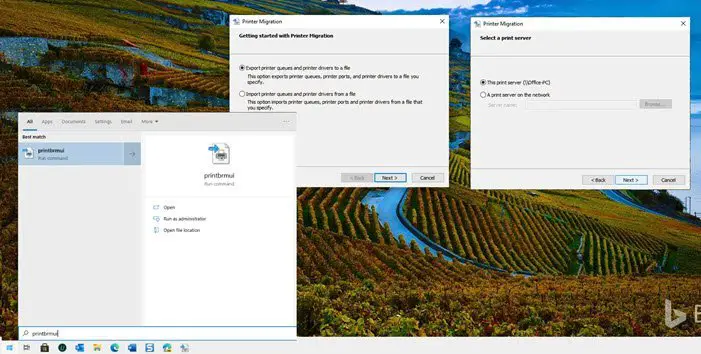 How to backup Printer drivers and queues on Windows