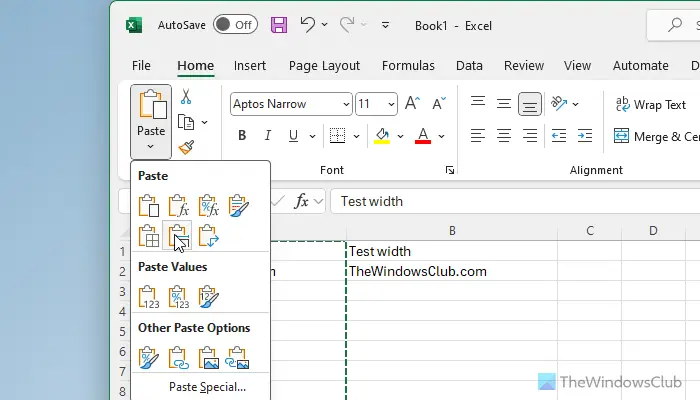 How to copy Column Width from source to another spreadsheet in Excel