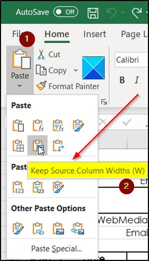 How To Copy Column Width From Source To Another Spreadsheet In Excel
