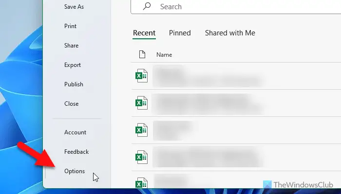 How to show or hide List of Formulas while typing in Excel