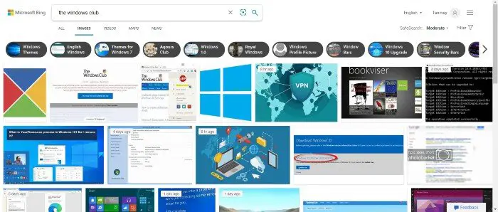 Bing Image Search