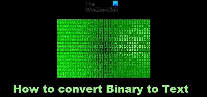 How to convert Binary to Text