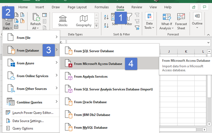 Import Access Data into Excel