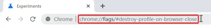 chrome destroy profile on browser close flag address