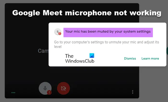 Google Meet microphone not working