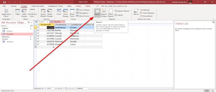 create a Report using Microsoft Access