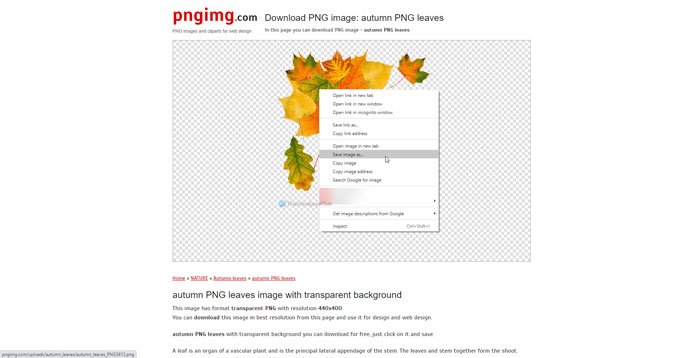 Where to download PNG images with transparent background
