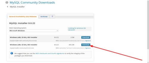 How to Download and Install MySQL in Windows 11