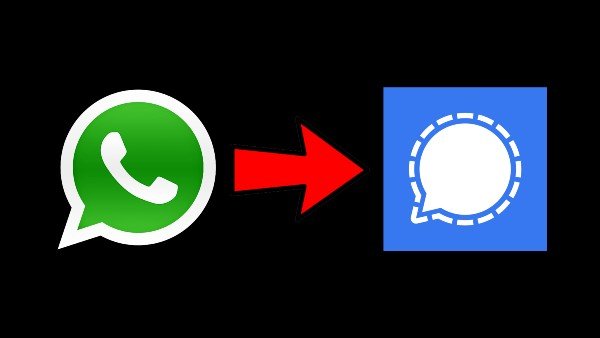 WhatsApp-сигнал