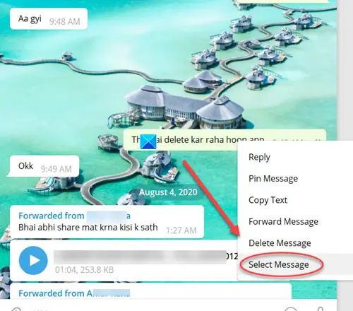 Telegram Chat Window