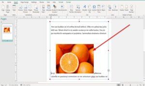 How to align Objects or arrange Pictures in Publisher