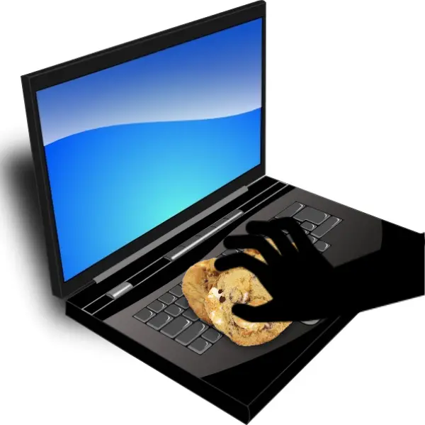 Cookie Stealing or Scraping Why do Hackers Want your Cookies