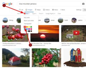 How to search Images by Color in Google