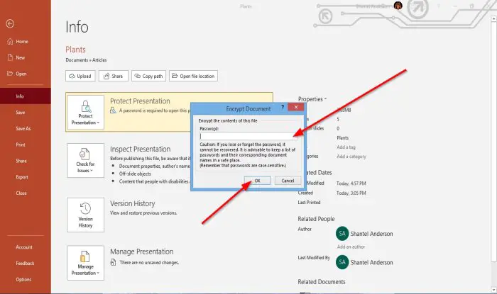 password-protect a PowerPoint presentation