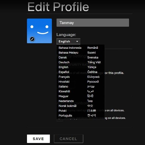 Netflix Language Settings