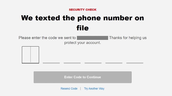 Netflix Security Check